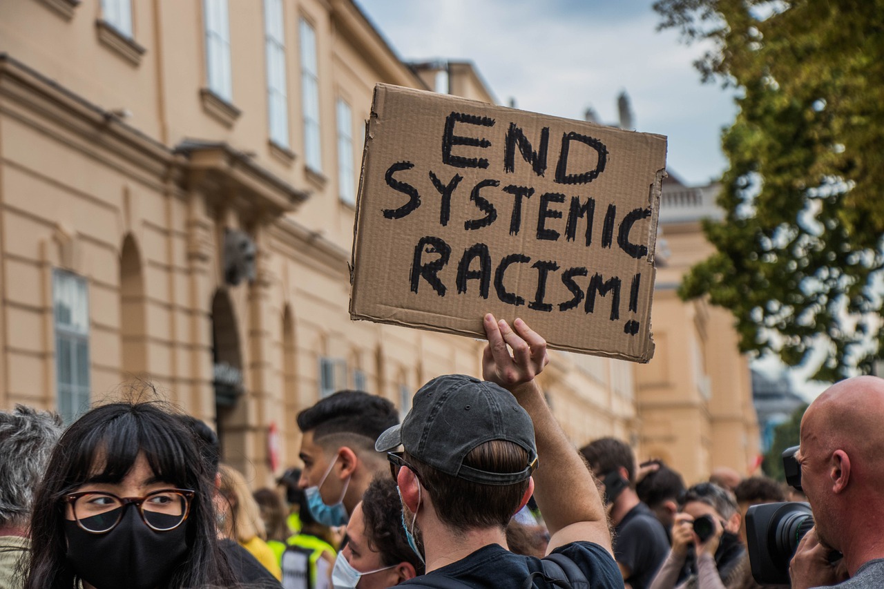 Read SnapThoughts on Uprooting White Supremacy in the Institution